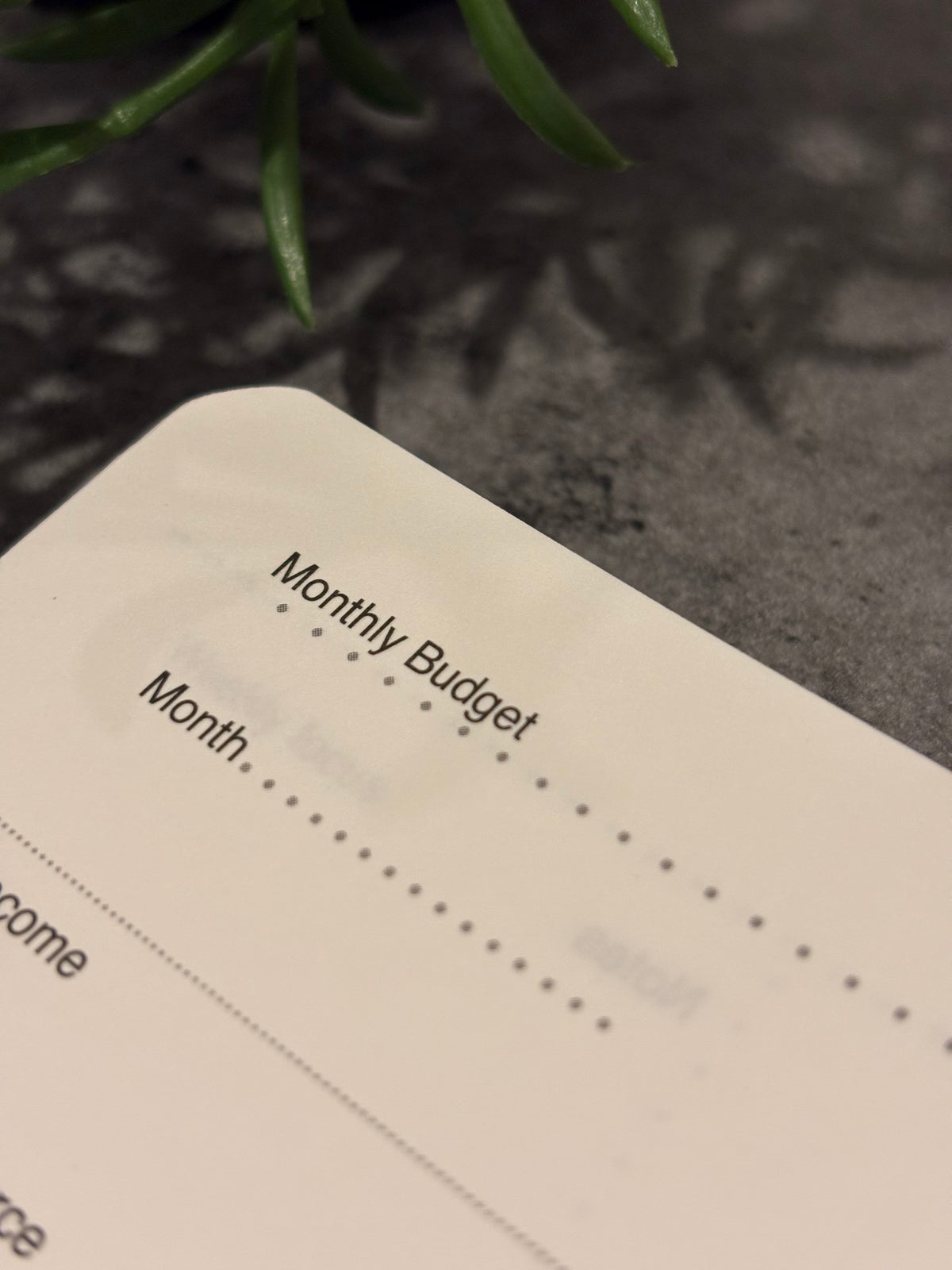 Platinum Grey- Memo & Mind Planner