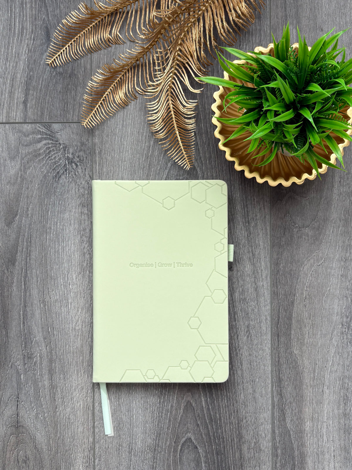 A pale sage green hardcover notebook with a subtle hexagonal pattern and the words 'Organise | Grow| Thrive' printed on the front, styled on a gray wood plank surface next to a potted green plant and dried palm leaves.